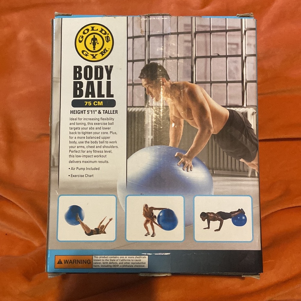 Body ball with exercise chart - Picture 2 of 2